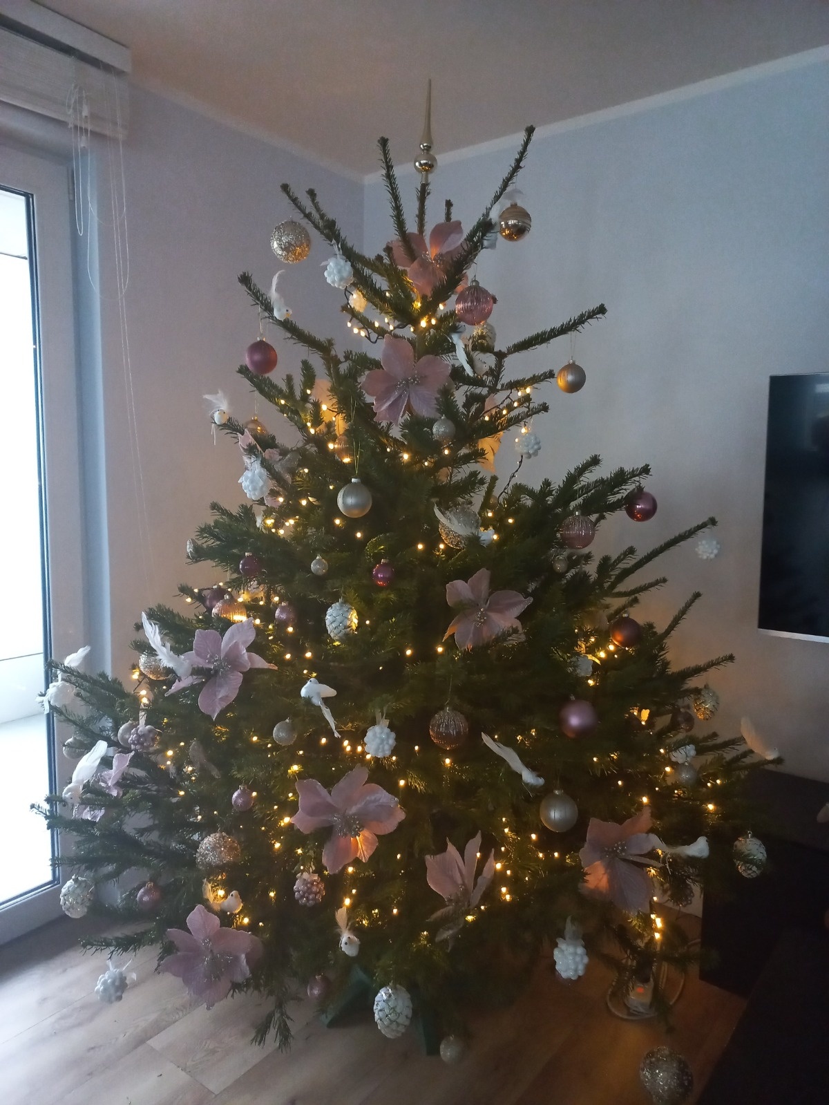 9052e4bc-5268-42d2-b5dc-209acd03f0d8