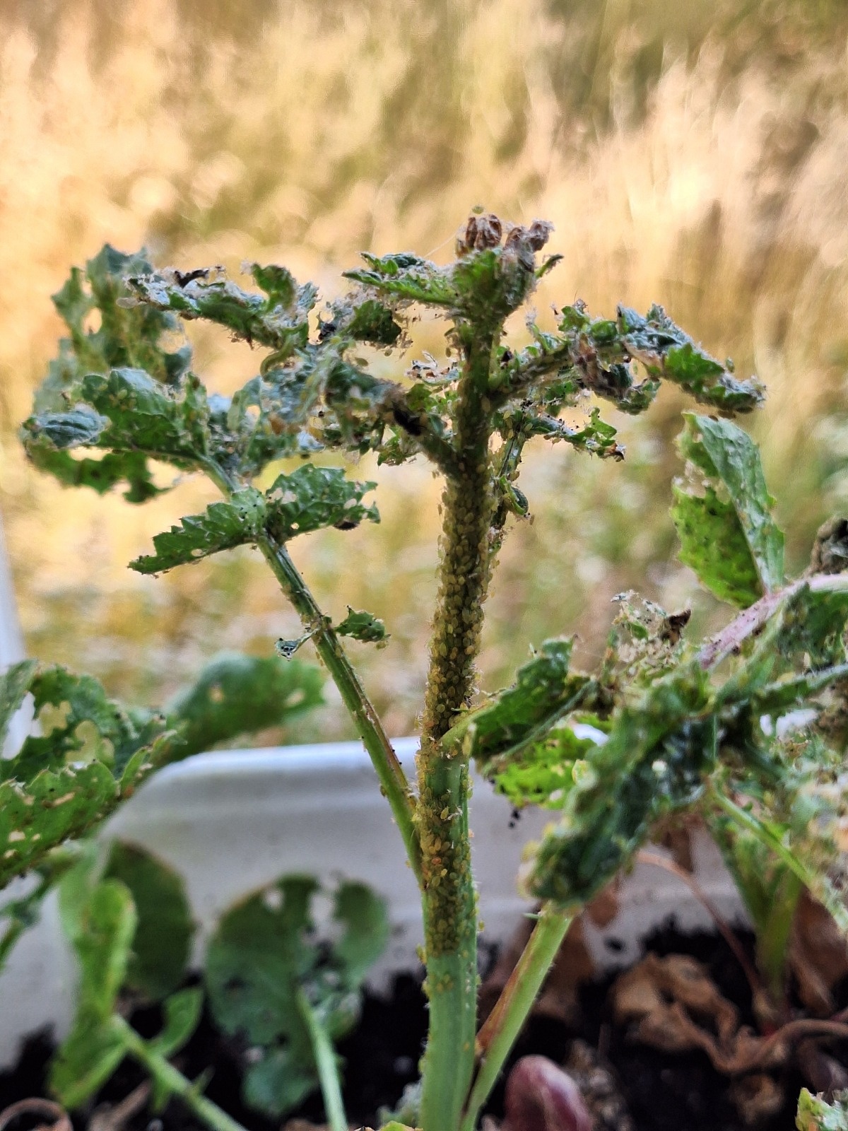 ee7f372b-3c69-4a34-b2d2-faf75b3b441f