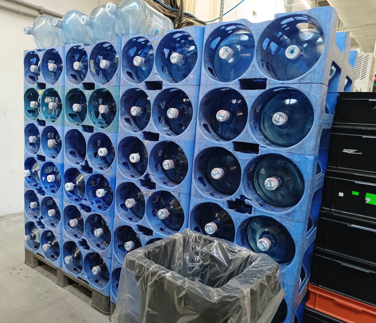 5195bac0-e086-4bed-aa01-fc35f495861f