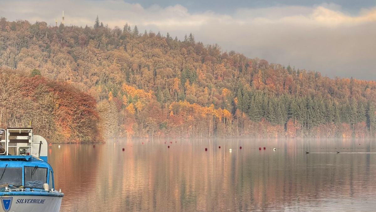 359dca43-d59a-45d6-b48b-0ae559d41f61