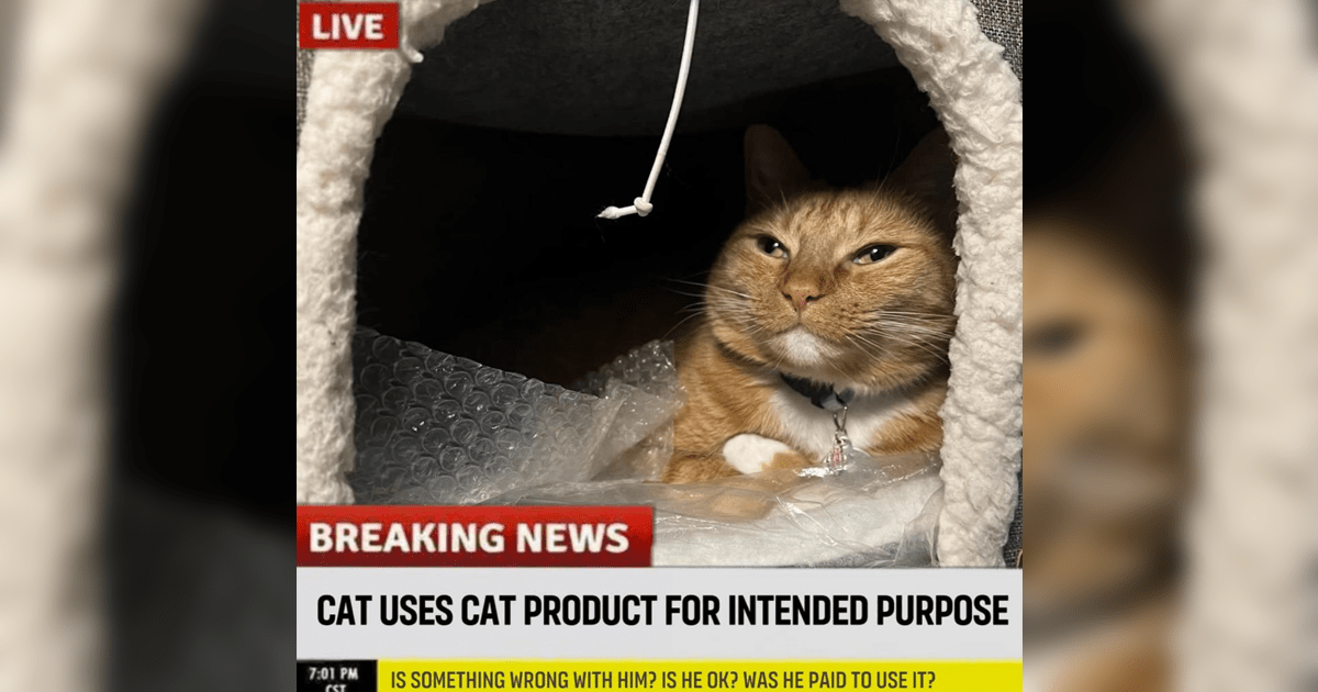 a02917eb-9b89-4729-b6d8-6d6313df579b