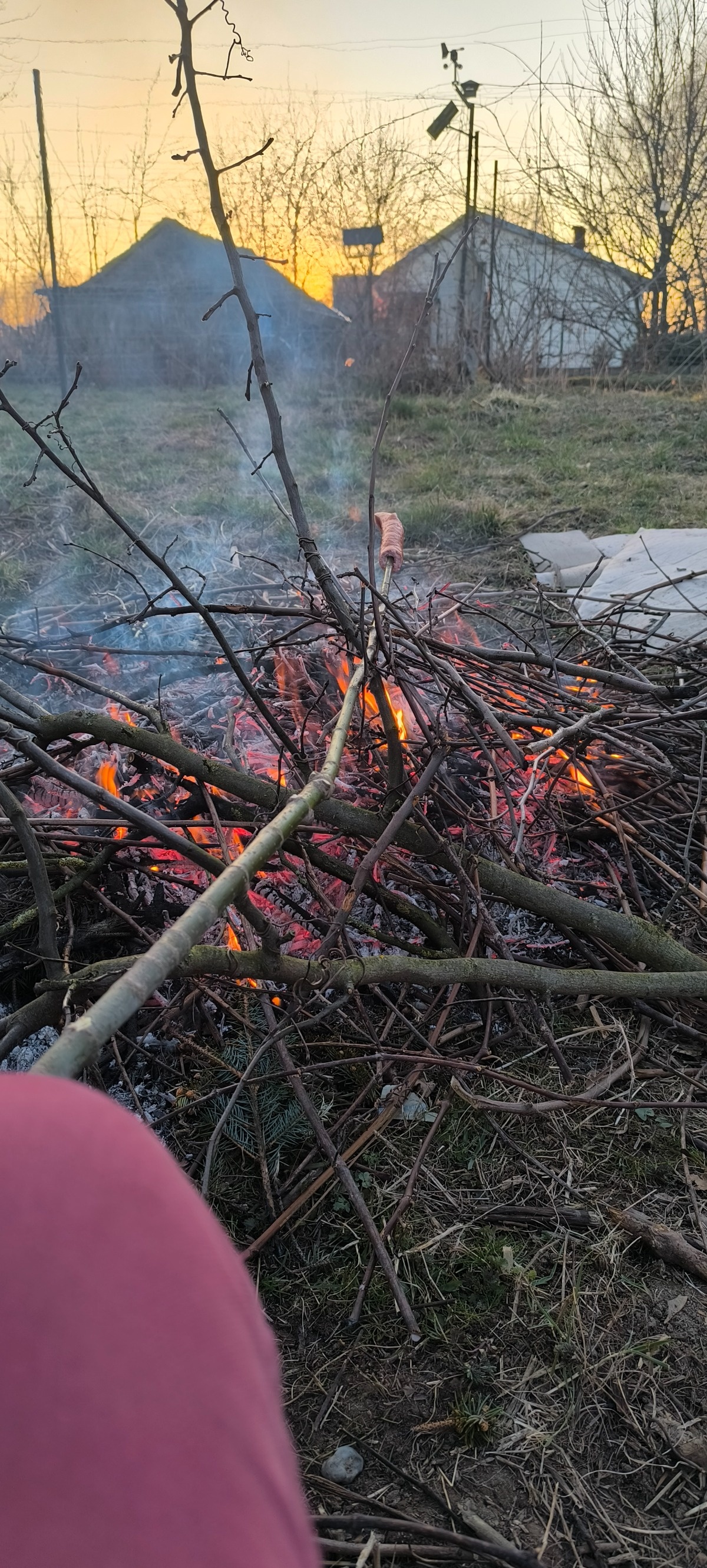 a66e3d33-2de6-47b8-9a42-50cab316b664