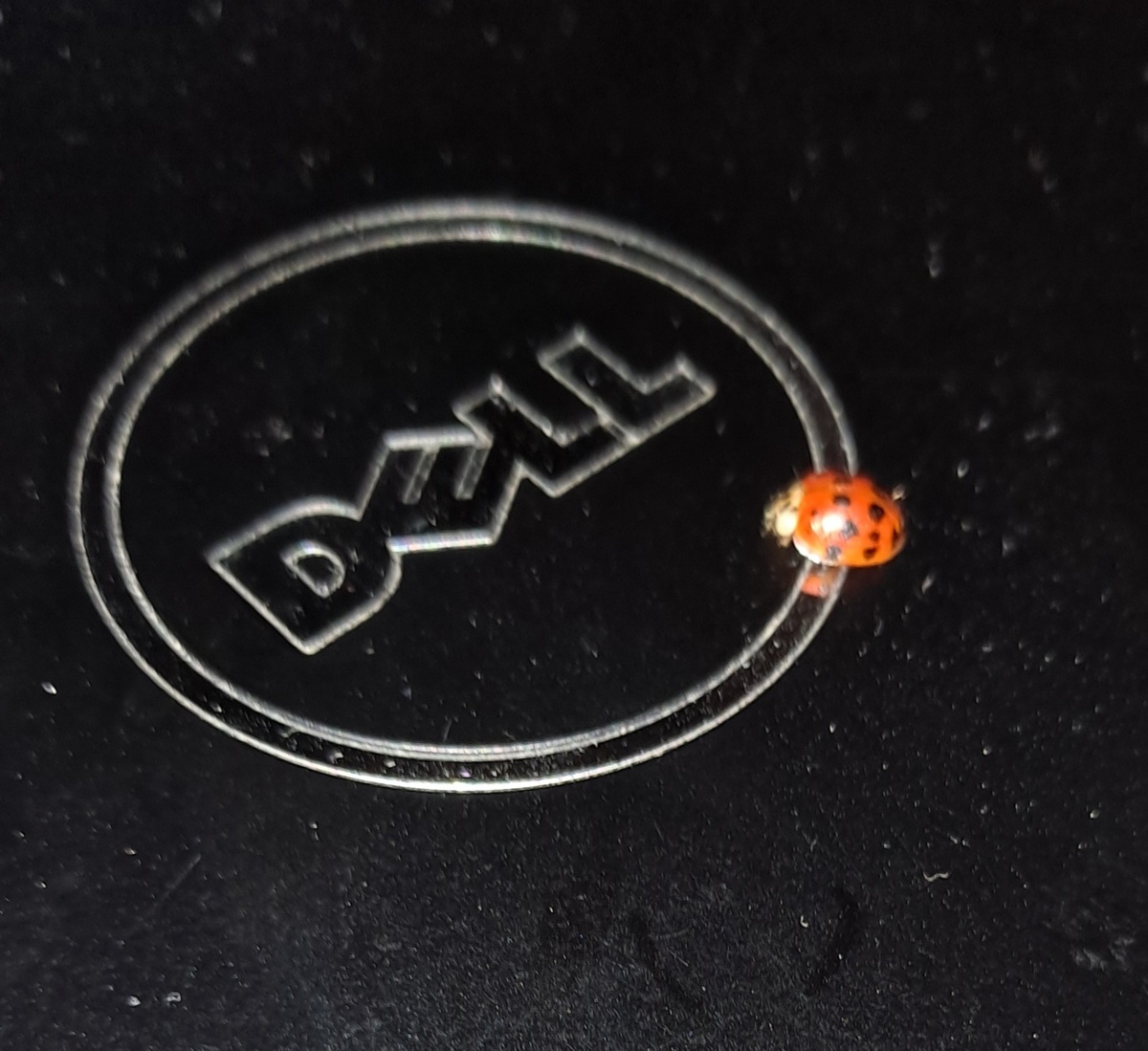 e277d2ee-fb1d-4bbd-8b4a-77eb3ea237cf