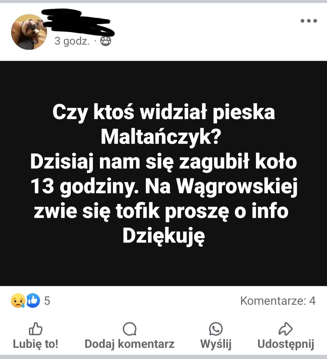 d85628b5-af77-406f-8c64-03dabded201f