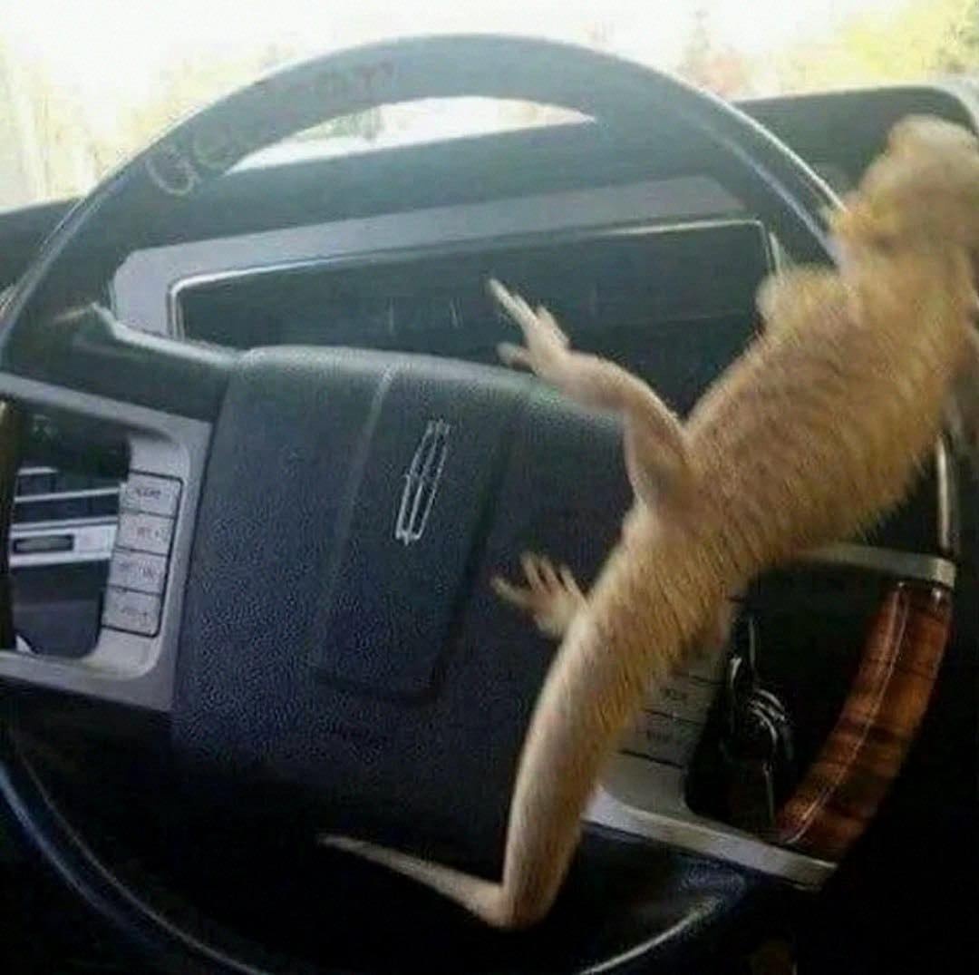 237e5d5b-4da6-4e3e-a3ed-c516b59d841f