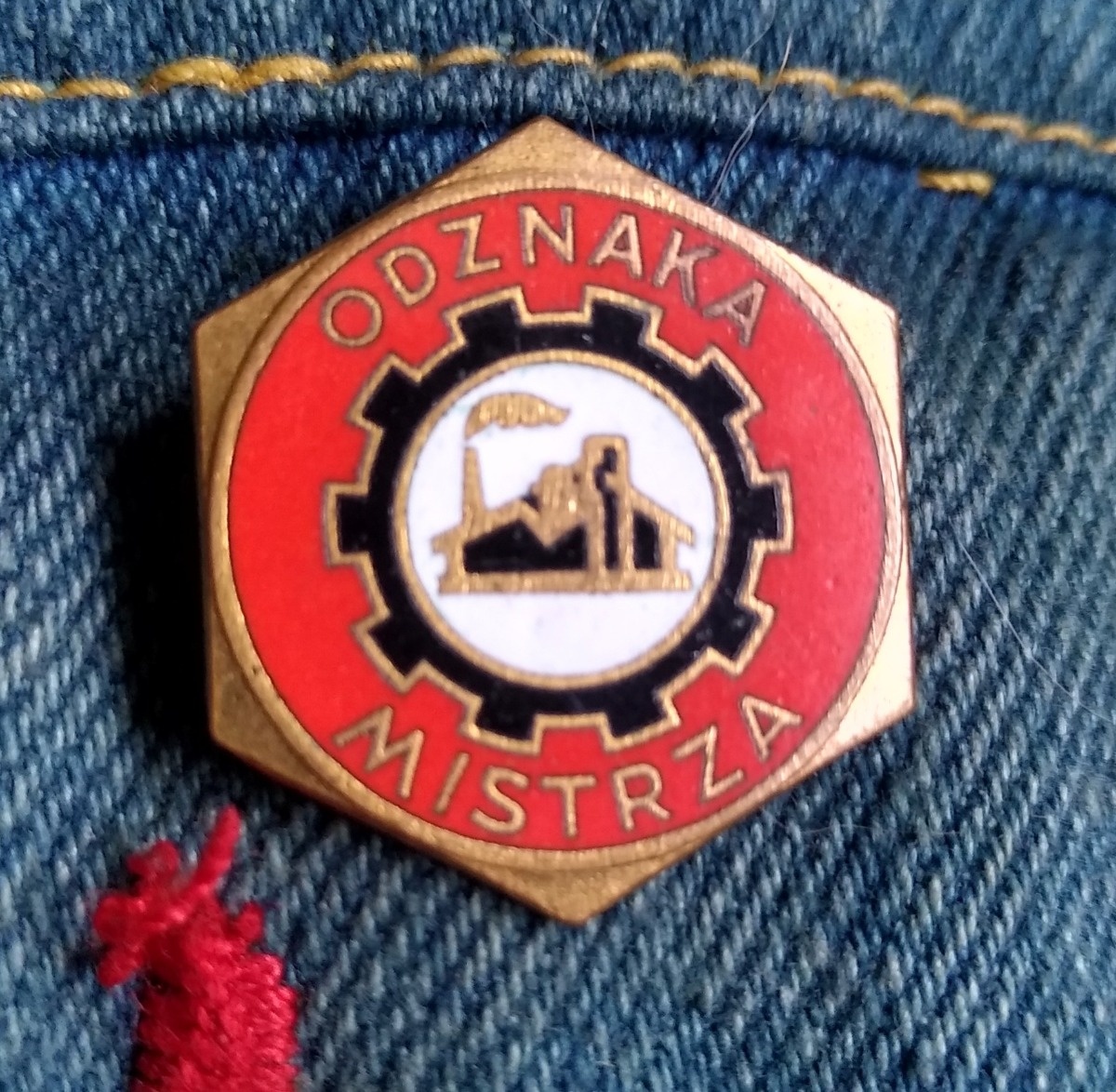 f558739c-7028-4e8b-aa0b-d10065d61363