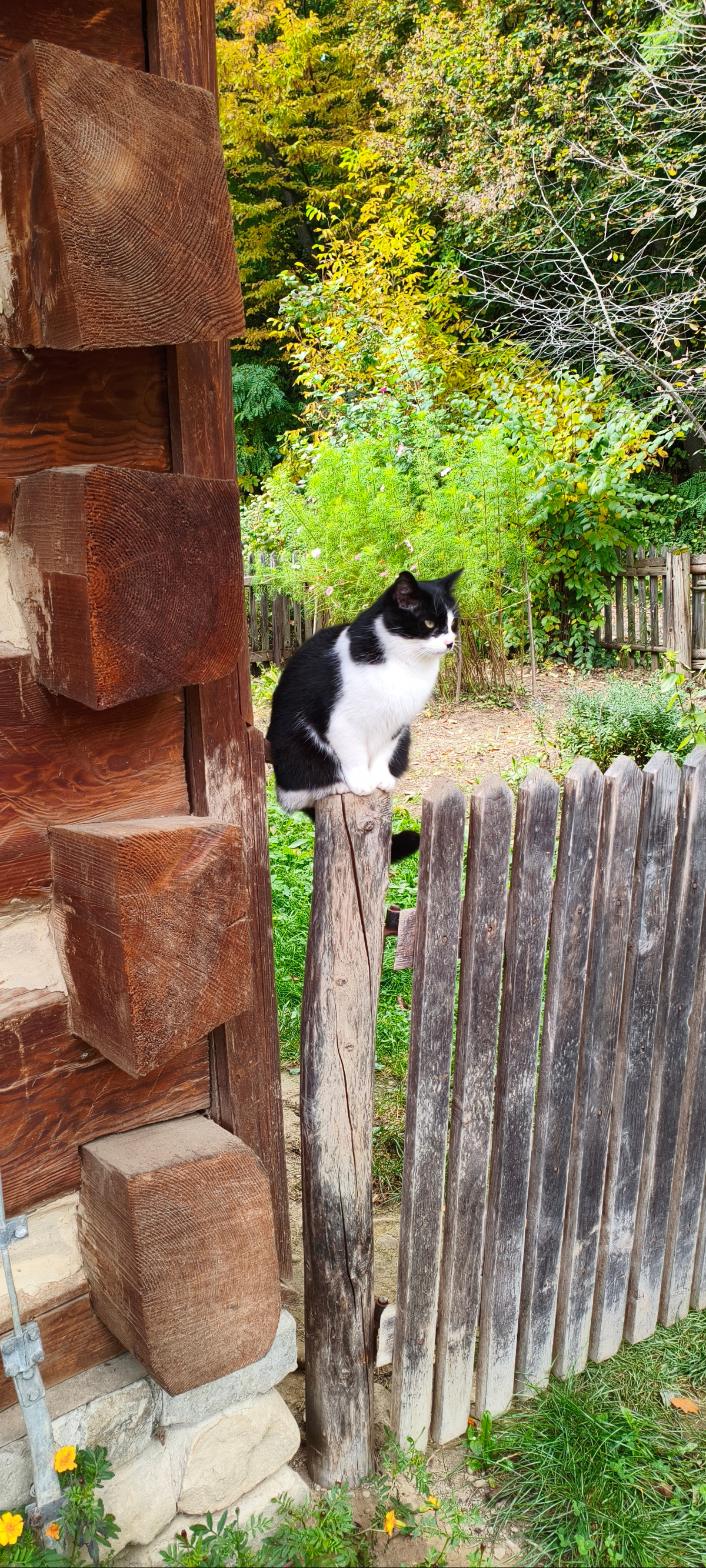 feef228f-7798-4563-aade-658133e5438f