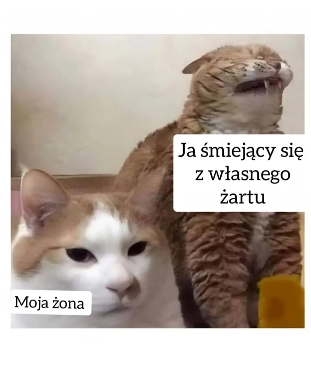 097792ff-f4d6-4520-aa00-d15fd7fb4965