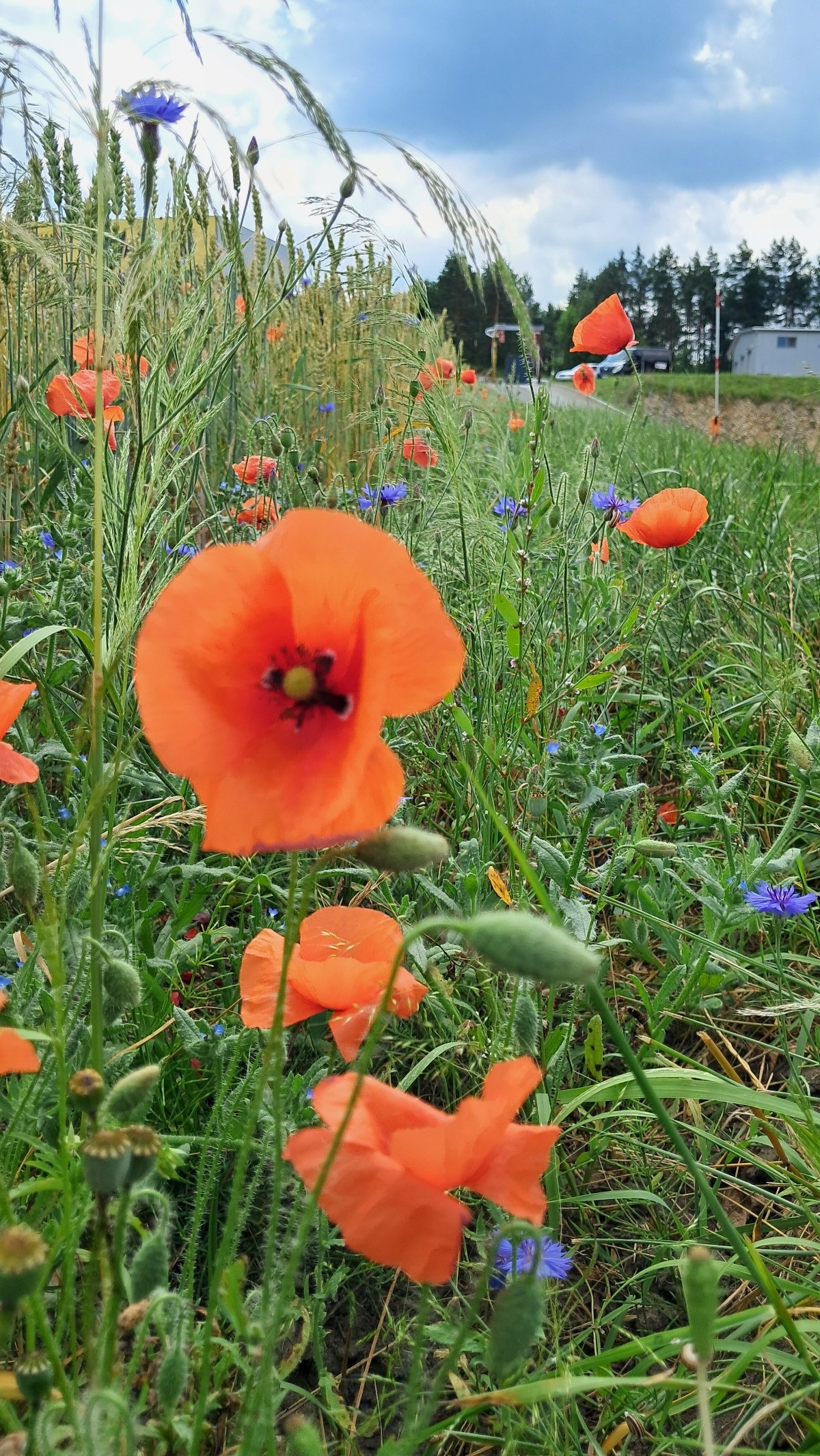 19a1b5c7-f0b9-4a9c-841d-3438040e0811