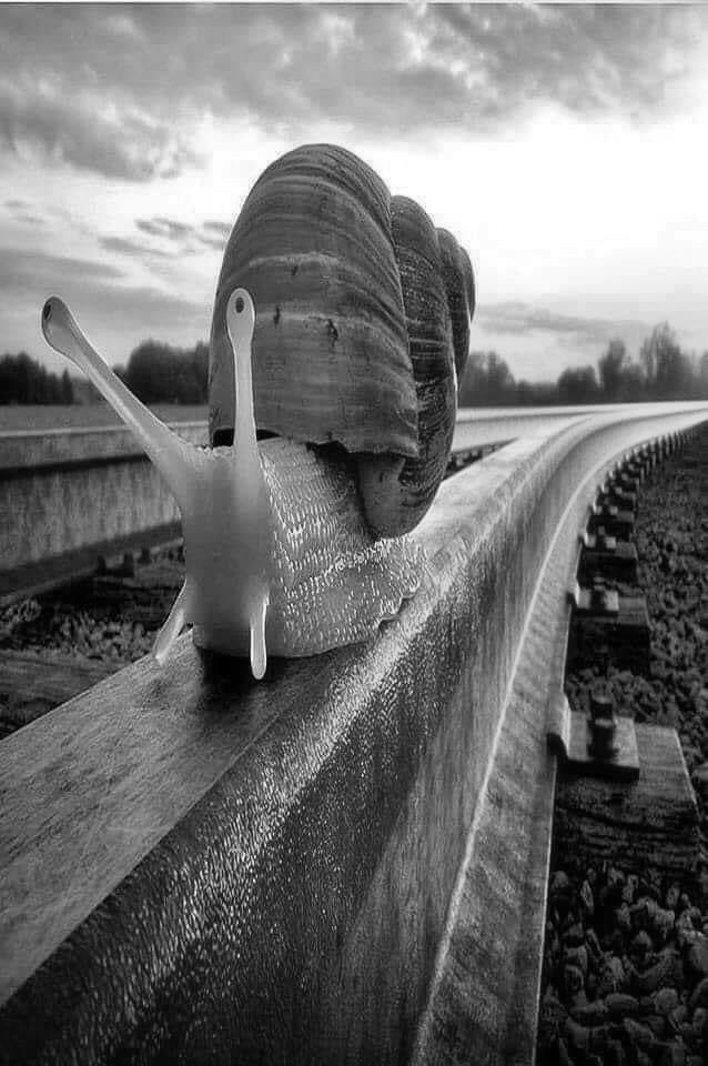 e1269f48-5d78-4aee-a71b-82d6cf3f8d93