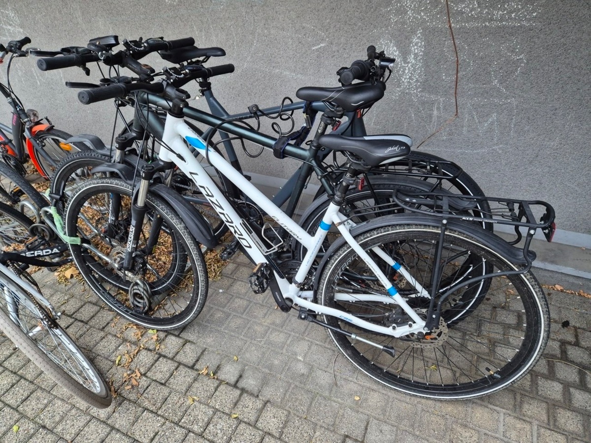 4c5ca29d-20eb-4abd-9f03-f03b6421d278