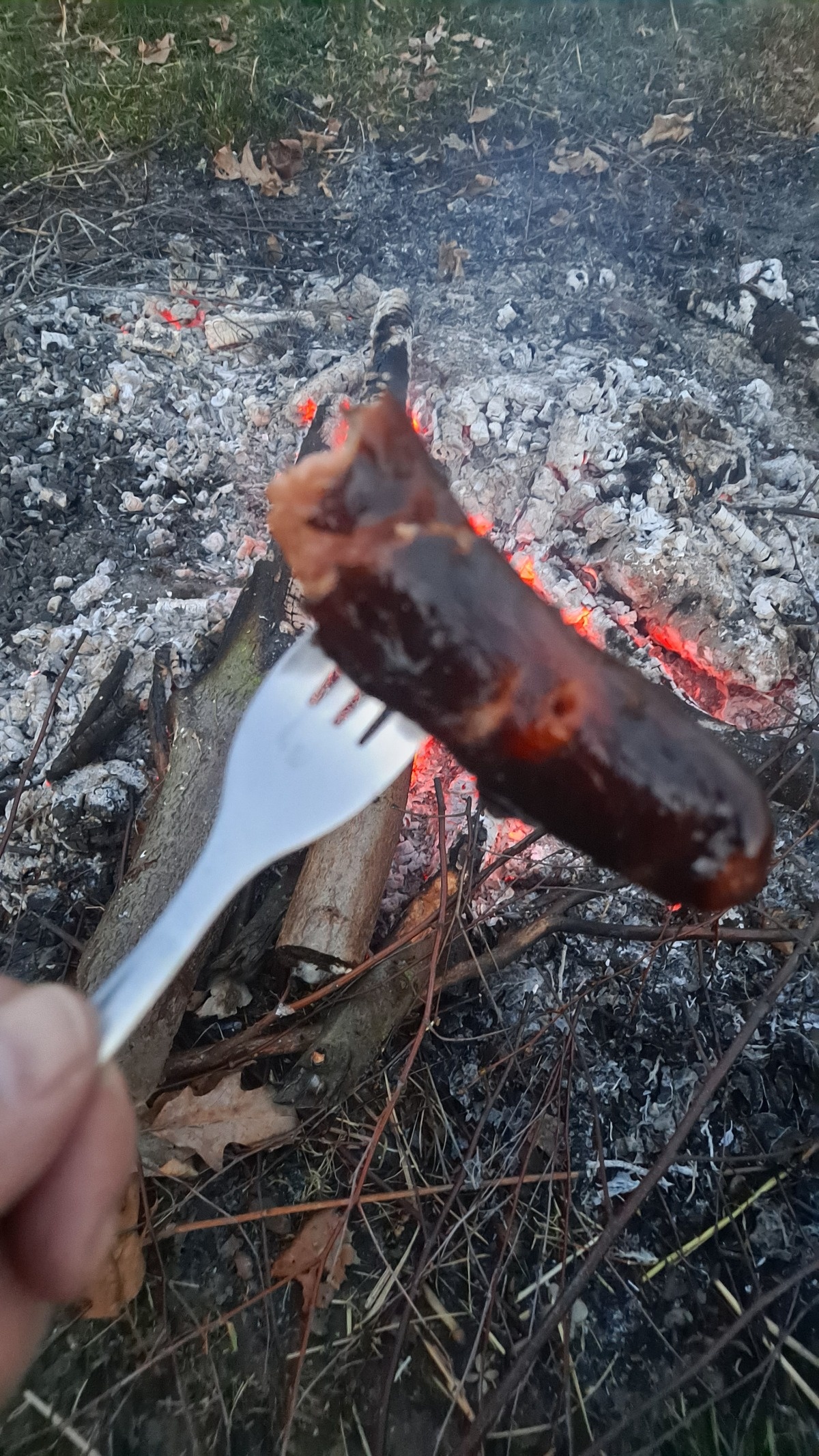 a3f9ae1a-0184-4551-9932-1ef08df58770