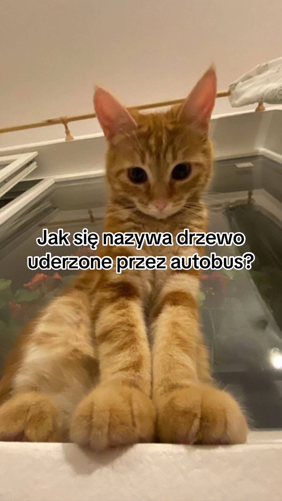 e230a291-e25e-4d9a-99d5-1c8b0fd05243