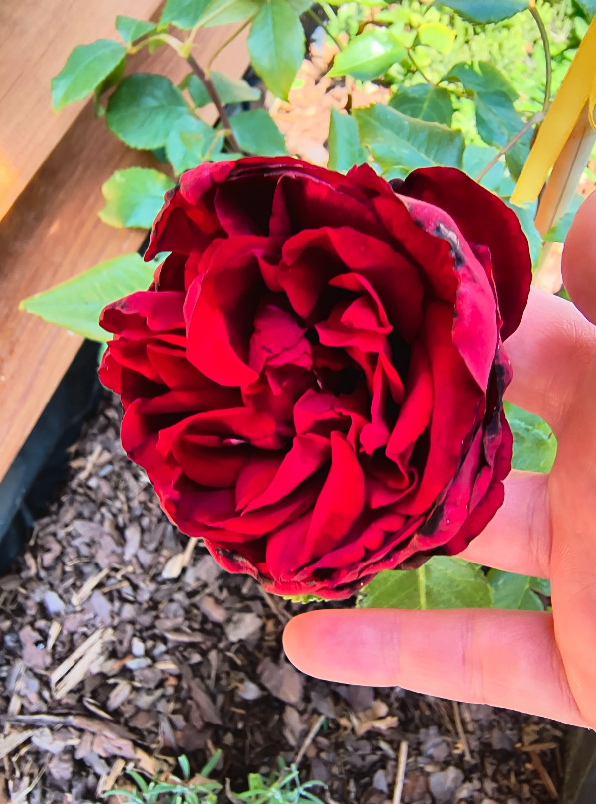 5137ceb8-e1ef-41b0-a13a-02e6f45ce681