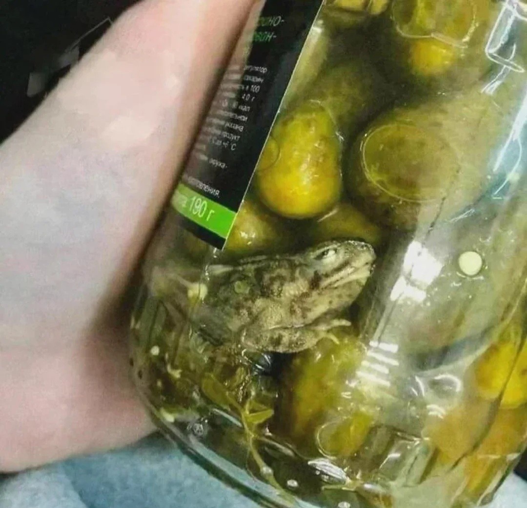 153433f9-8b0f-4b91-81af-9425614e5c6d