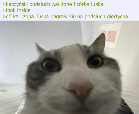 8b428a0d-ff1c-4303-9bc9-01c84af94413