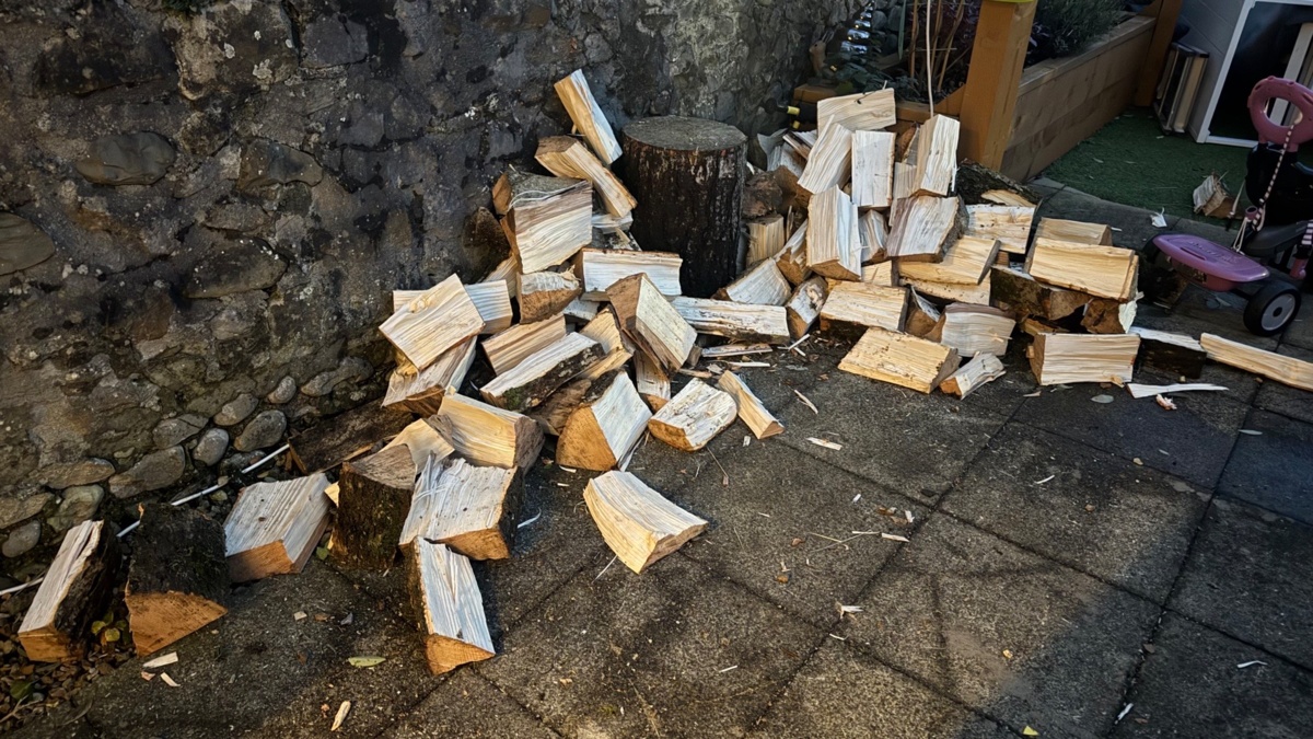 5de2831a-0508-484b-919e-38aa6f206b45