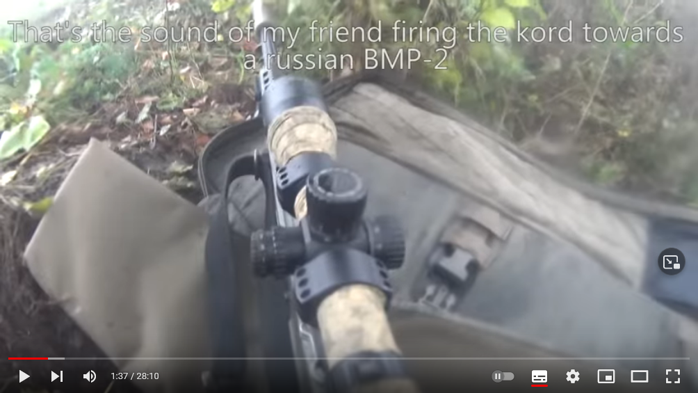 Finowie walczący na Ukrainie