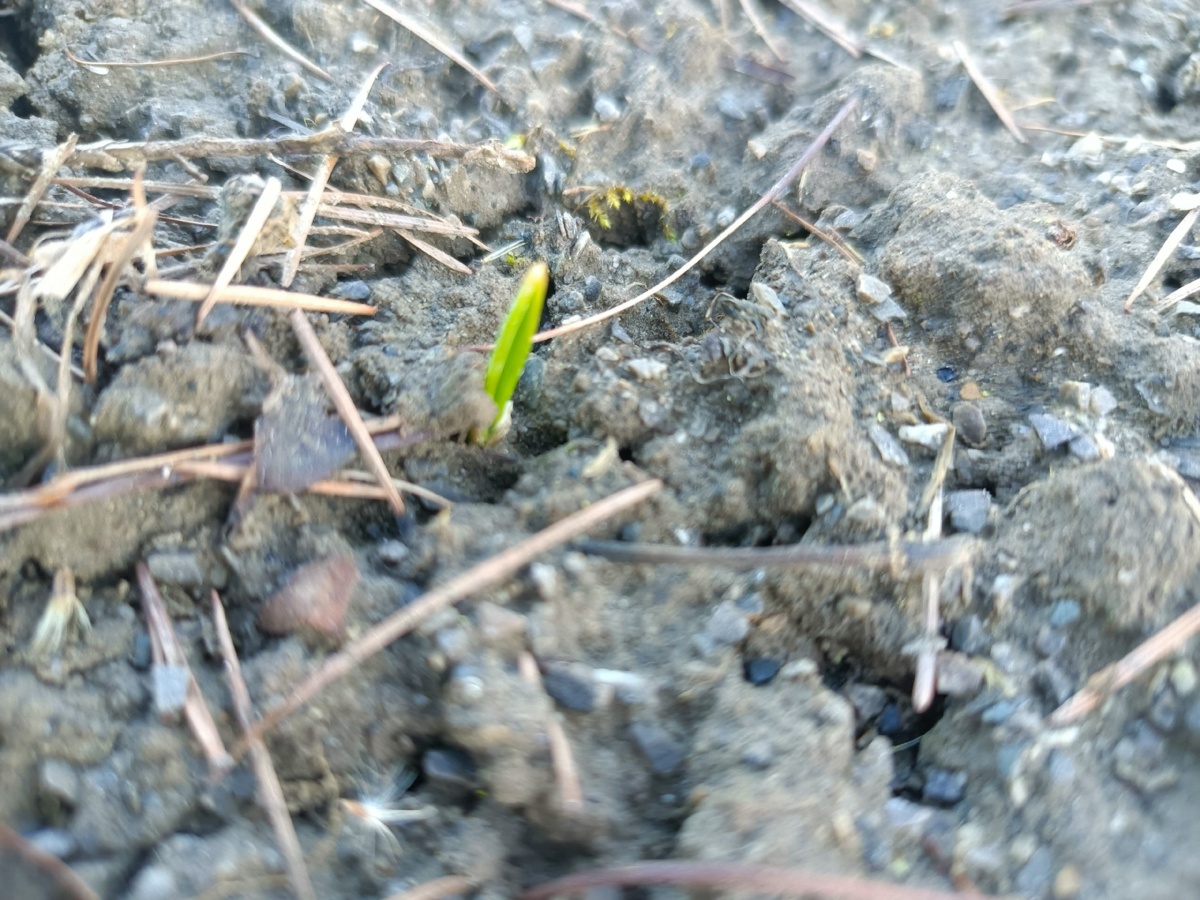 8ff46ebd-3c48-4717-873c-755151e6fa6d