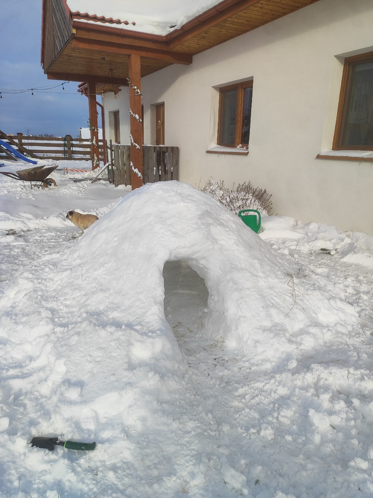 57a9a6e9-3c64-4f41-aed3-7dc8a8465830