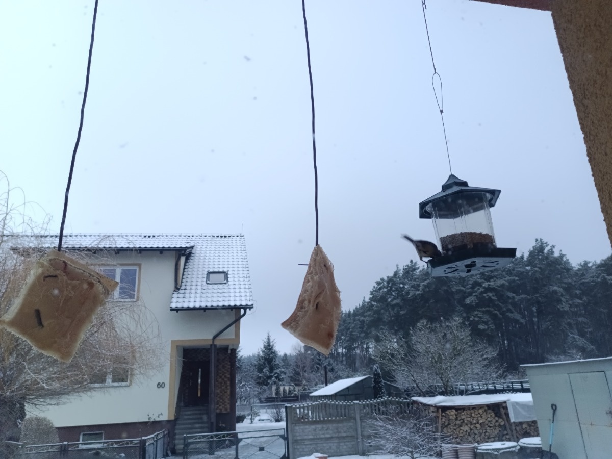 51ec34da-06df-4593-9133-5904bfcc2852