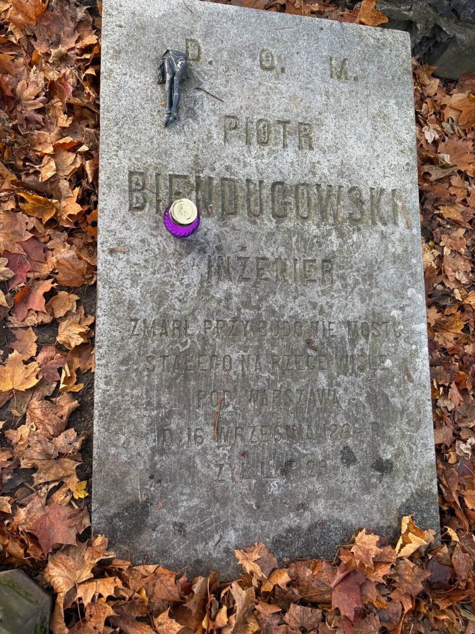 6e2d0b7d-dd78-4115-b701-cd31643a5cdc