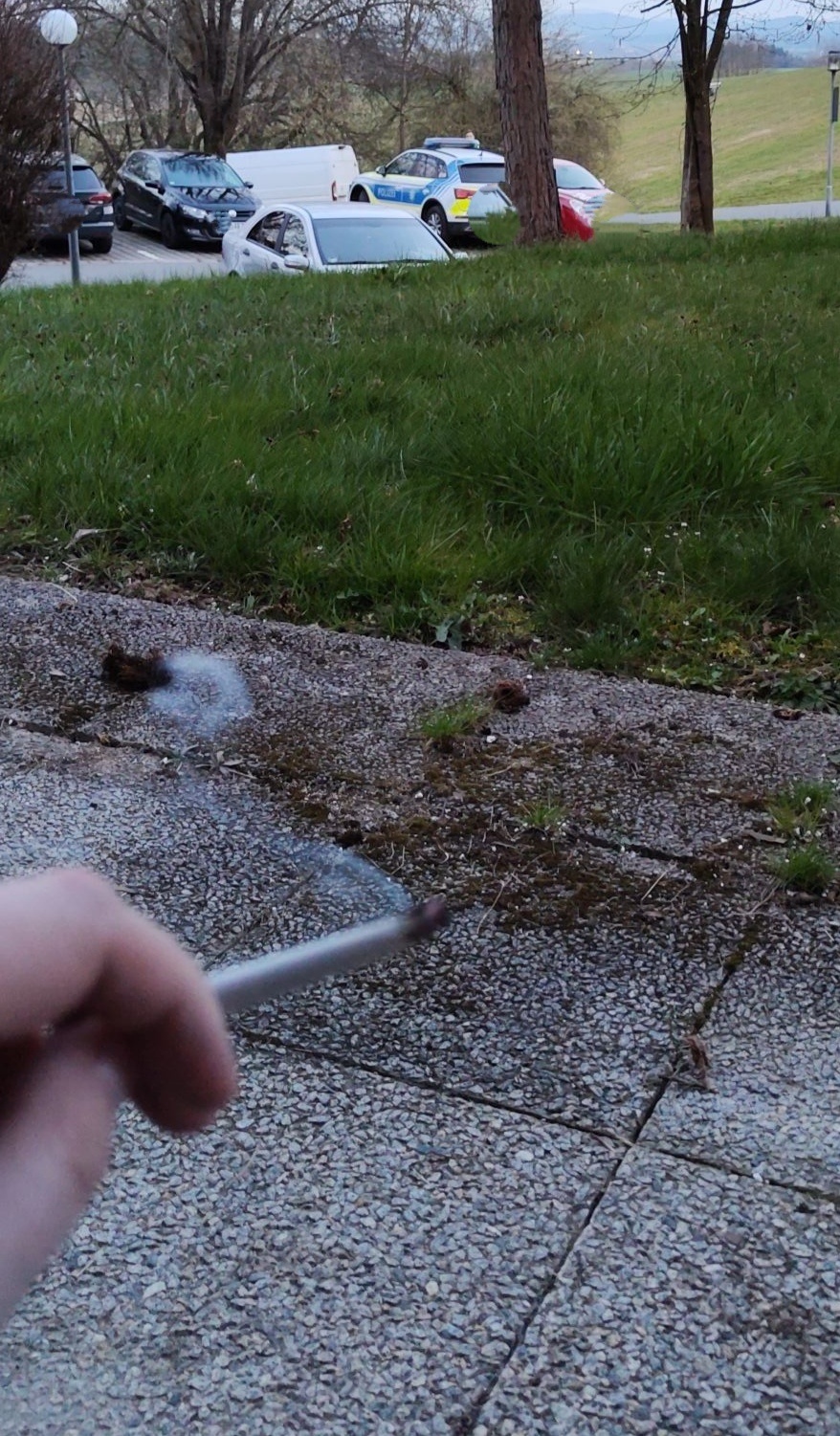 cad93338-540d-45cf-99b8-436b1d39036d