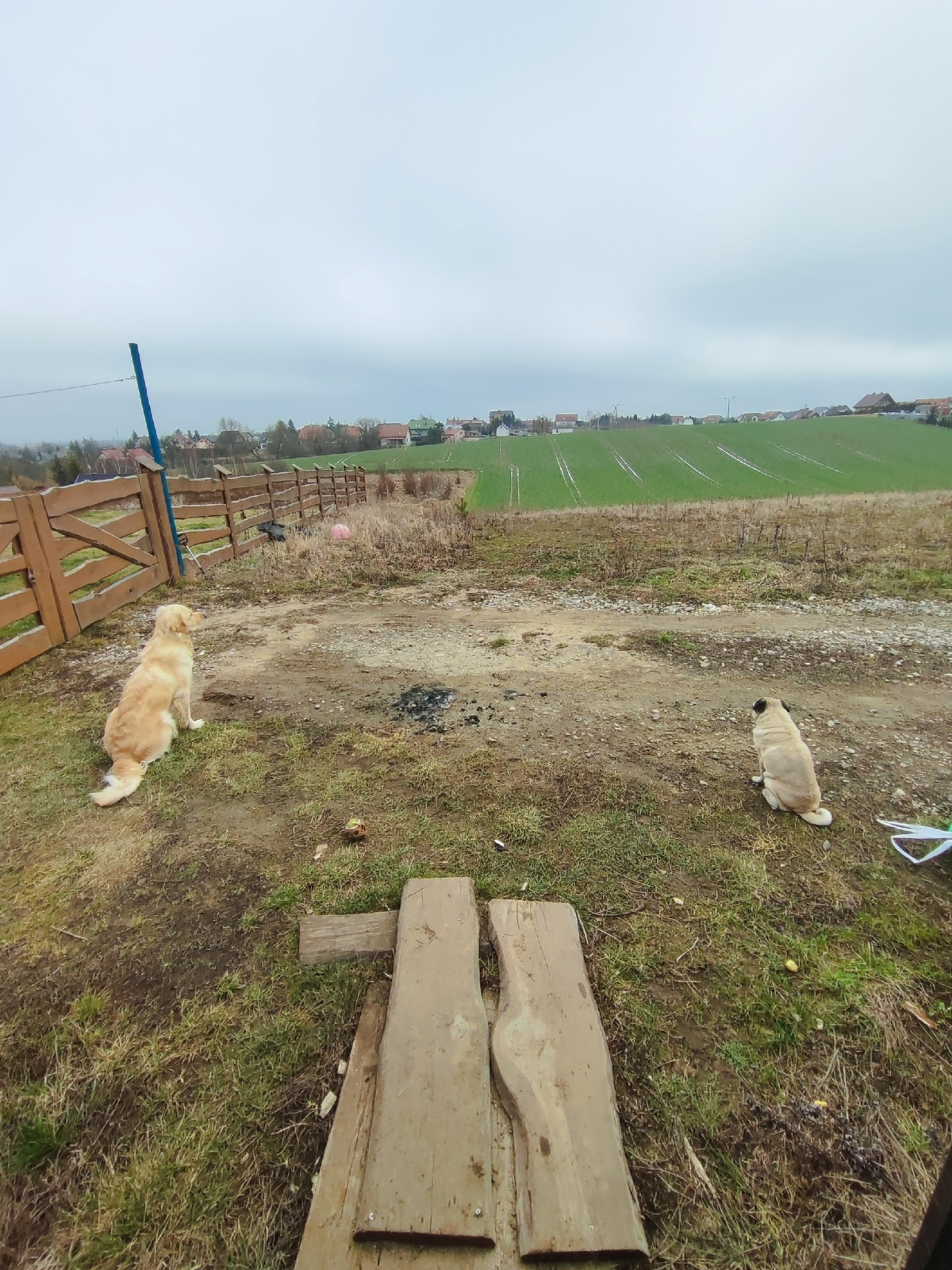 48512982-4029-4c3a-9a16-60575dd13291