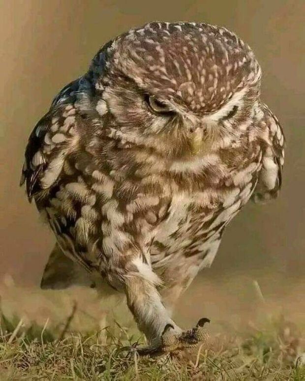 c98d0154-1410-4c06-a4c2-473f24a686f8