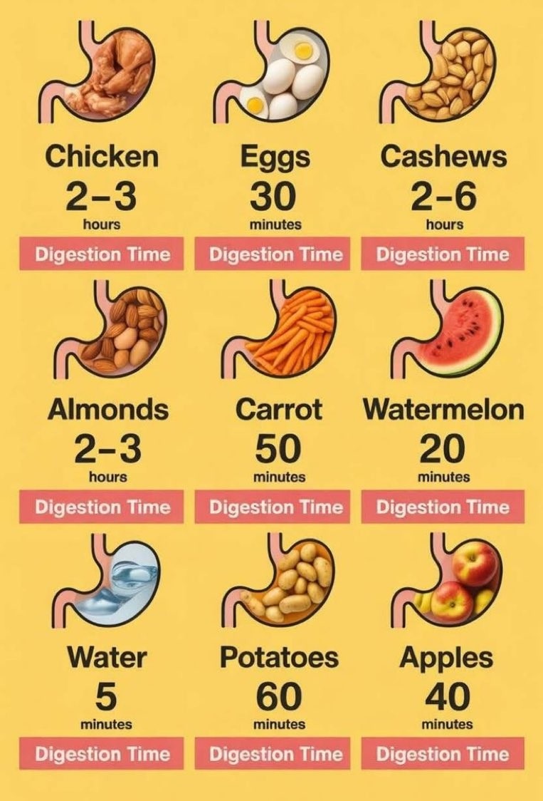 d8127439-e4a8-4071-bb81-e51b010d5a69