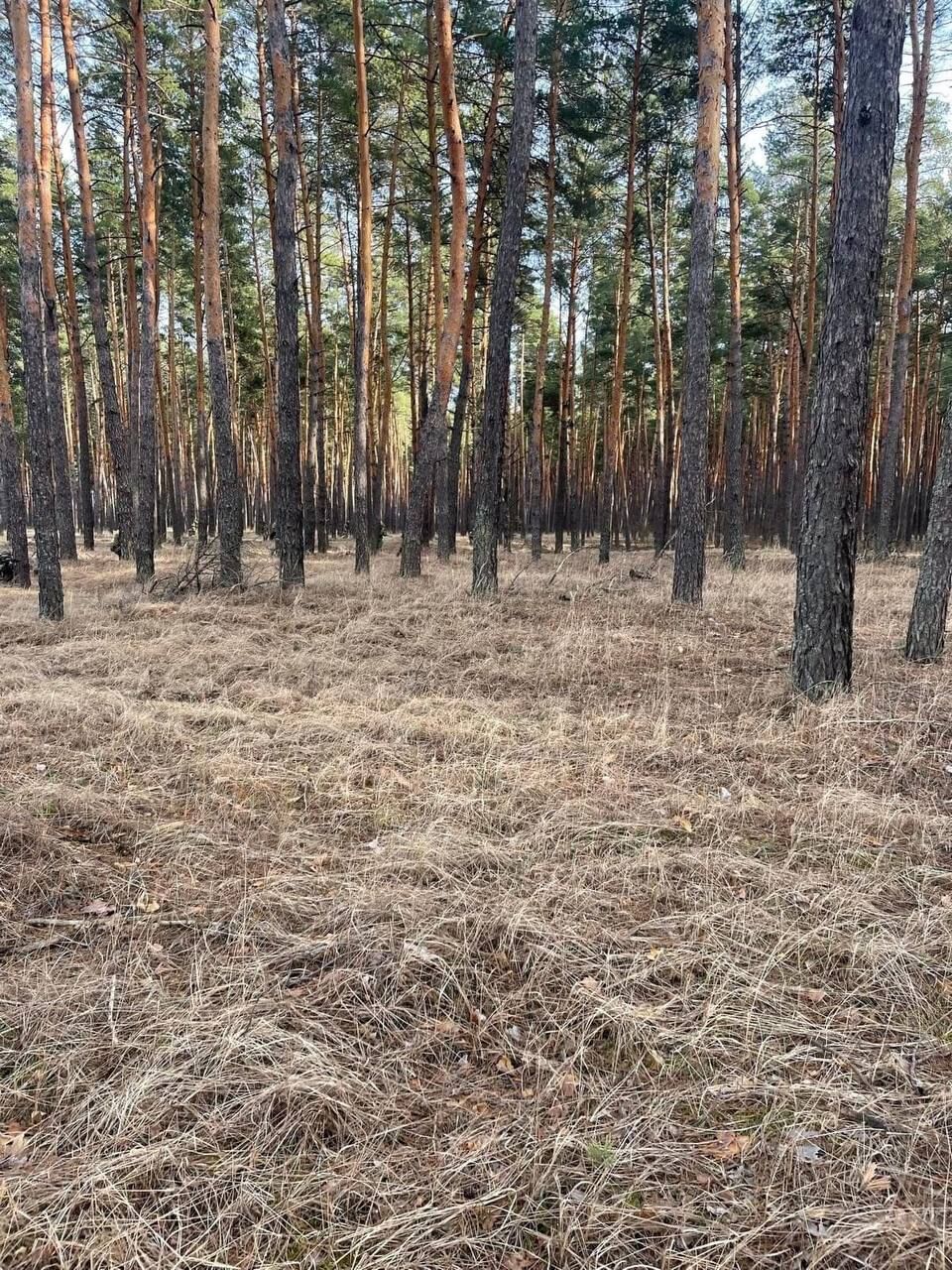 92a228d0-ae93-42e8-bfe6-935fbf68883a