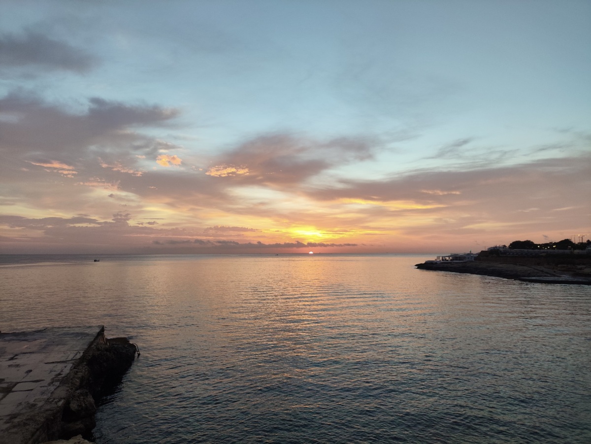 39cf97b0-6e80-4fa4-af92-fa384e94eb28