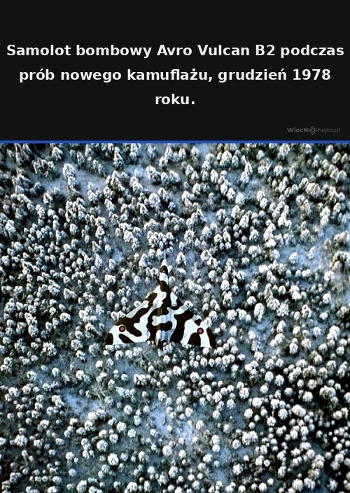 080074a7-2340-4b0f-b8f0-9e59c2967030