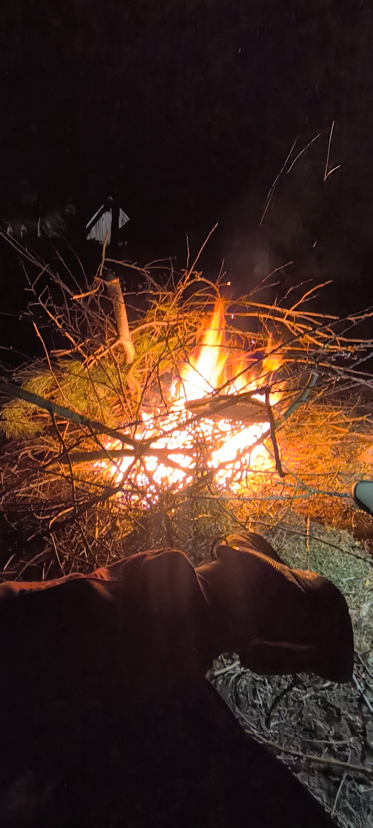 63cdeb90-357c-48df-bef9-5adaa9af24c6