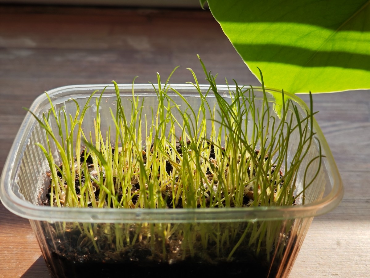 a93acc29-6b1e-4c12-96ae-a02c6c211986