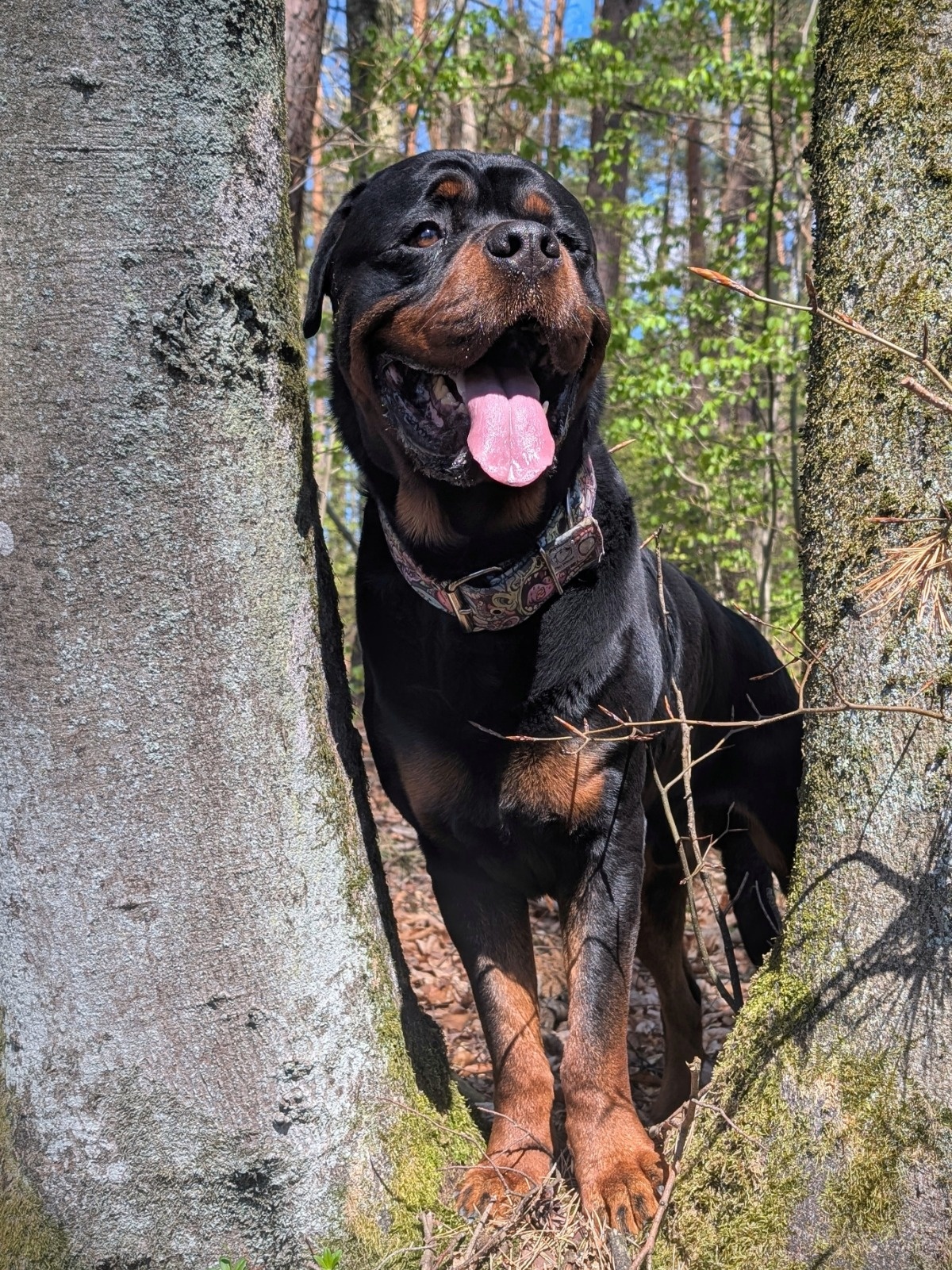 ce06408c-f572-487e-8a4d-044be58060e7