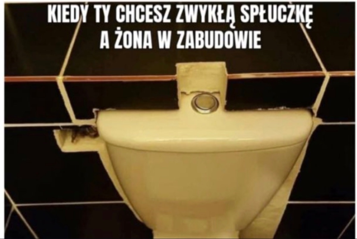 c8513850-b8d2-4598-9c08-58df0629d037