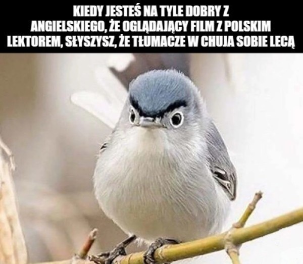 5c5646cf-b03f-44a0-9783-6270d18bf434