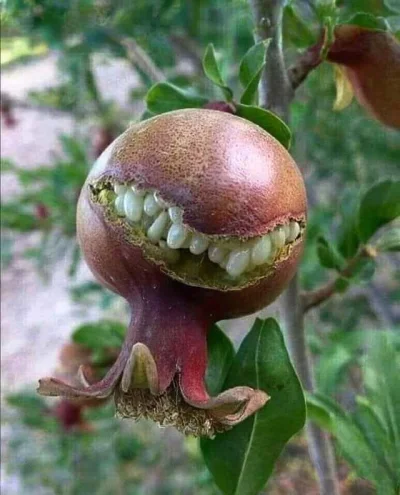 cff7b13e-8489-433e-bfef-e96220690d85