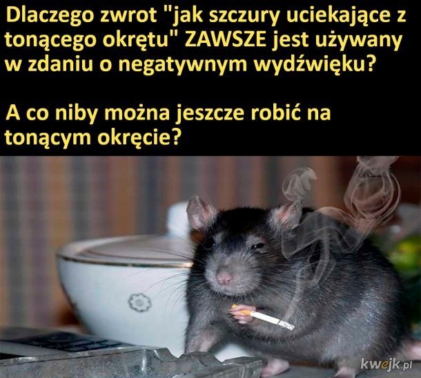 6878cbe5-ba50-4072-a67a-d7d3998cdb8e