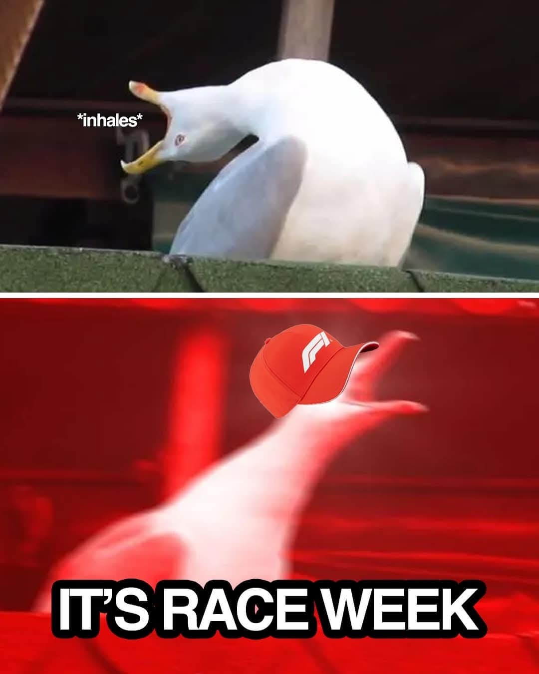 7405f40d-9018-458d-9d2e-6a188a57e45b