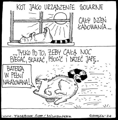 8ecf2efd-de9d-490a-8b47-a2e41f13ff89