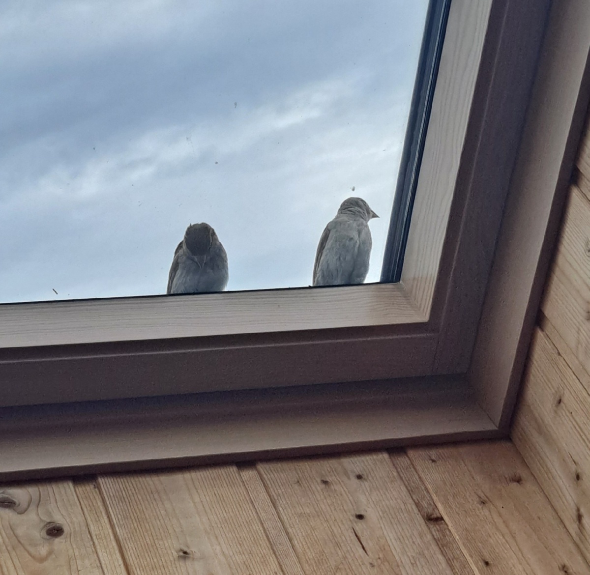 e61efcda-7309-47f4-92ac-8496cdffa1d3