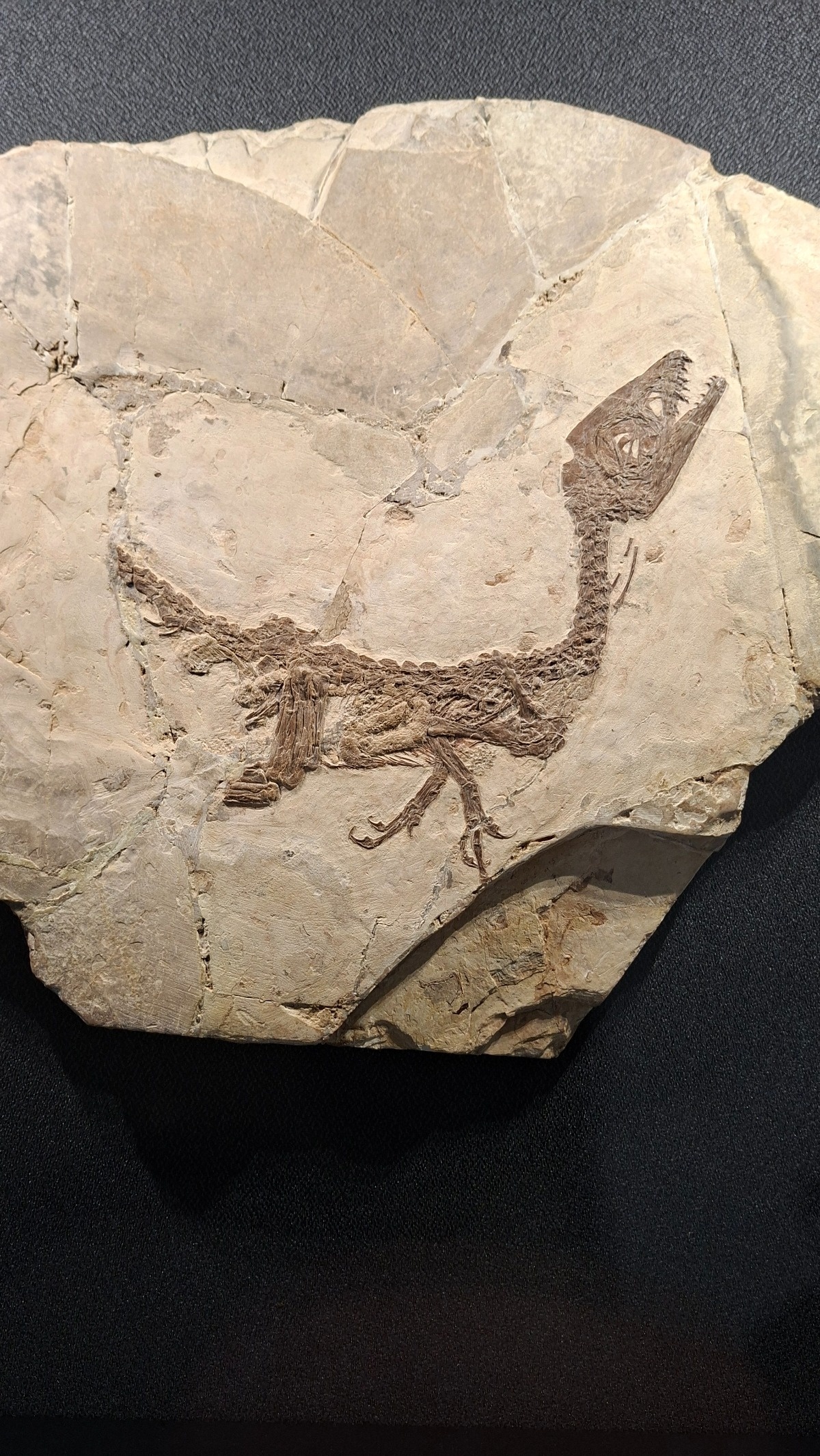 396edfd1-2a1f-4c04-a54c-0b0c1f070ff9