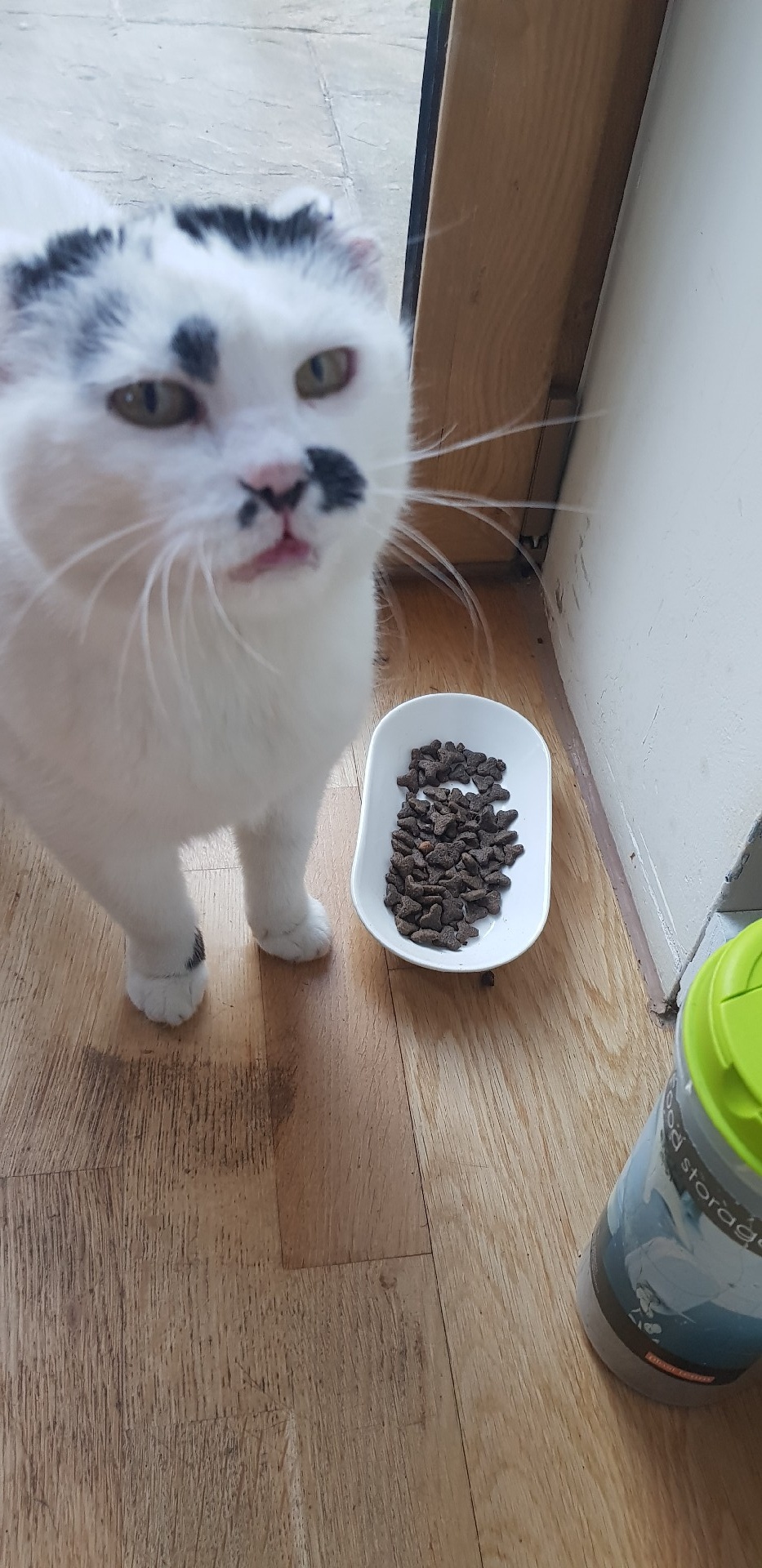 f376f775-c94f-4ac5-9099-ef8e01c3c6d5