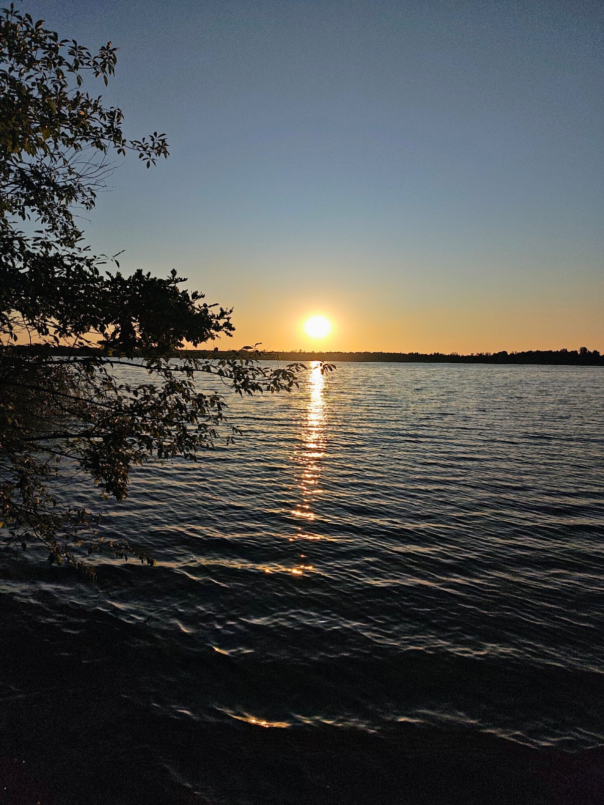 307652e9-4e5b-410b-884c-bd05fef775f5