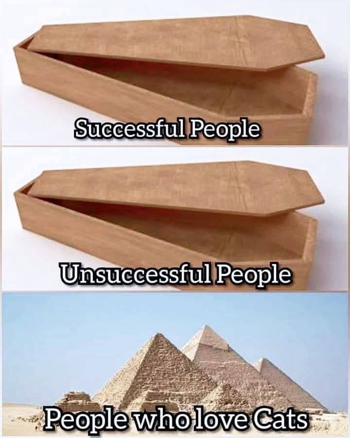 cd73868e-a1f1-424e-a769-36d4800310df