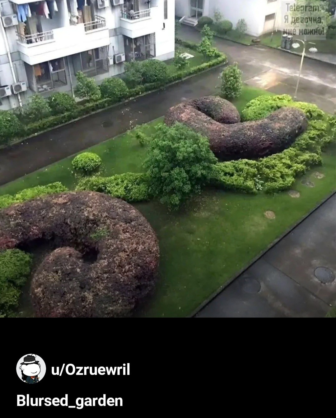 8b9c1f88-dcc4-4ba5-a55b-41d14209079f