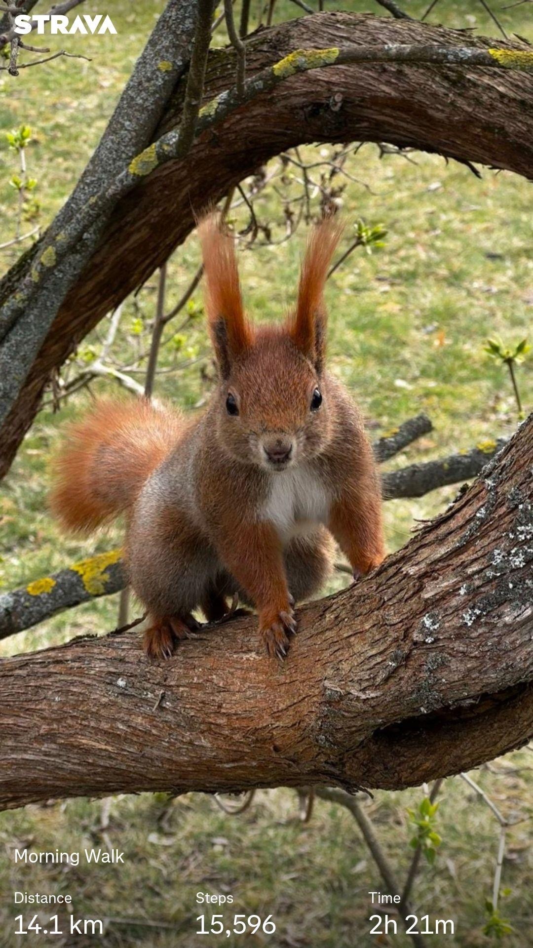 565ecc55-4057-4137-a814-72a48149aef2