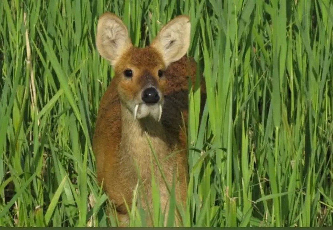 c9bf241f-e002-43d6-b64c-c412d17c5a14